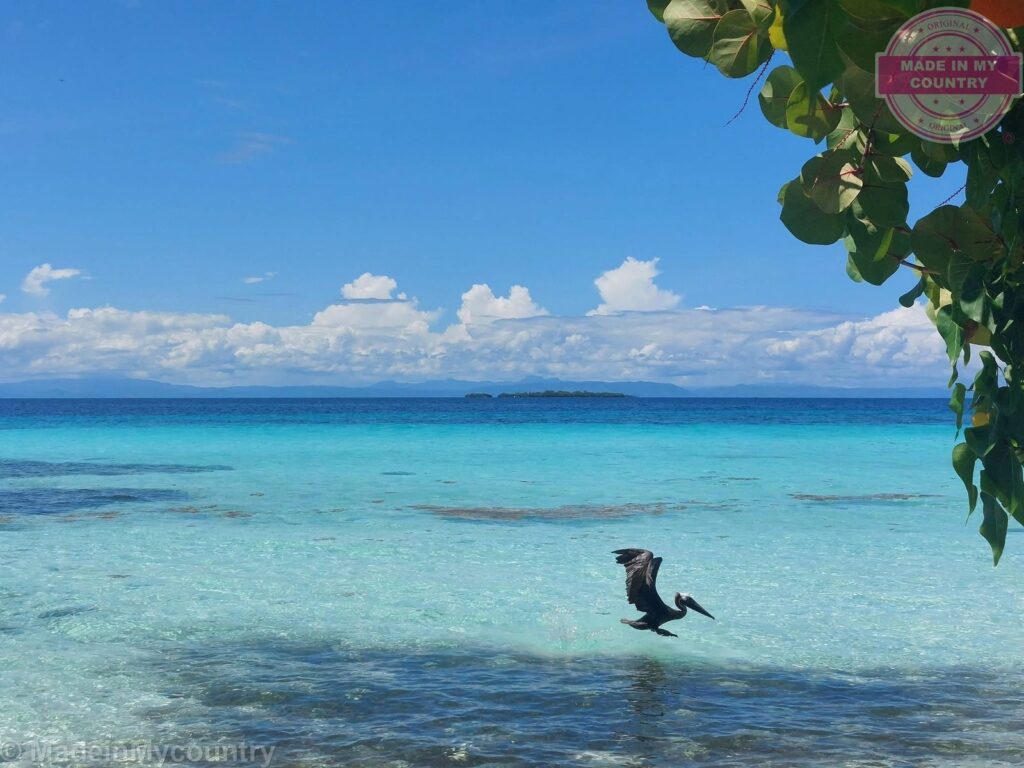 Belize Barrier Reef: a UNESCO world heritage site! MadeinMycountry is a global platform that celebrates and supports local history, culture, art, and nature conservation efforts. For two decades, we have been sponsoring local museums, cultural organizations, travel destinations, historical sites and various cultural events around the world.