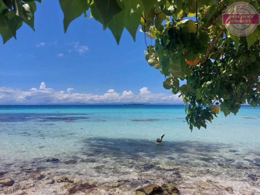 Belize Barrier Reef: a UNESCO world heritage site! MadeinMycountry is a global platform that celebrates and supports local history, culture, art, and nature conservation efforts. For two decades, we have been sponsoring local museums, cultural organizations, travel destinations, historical sites and various cultural events around the world.